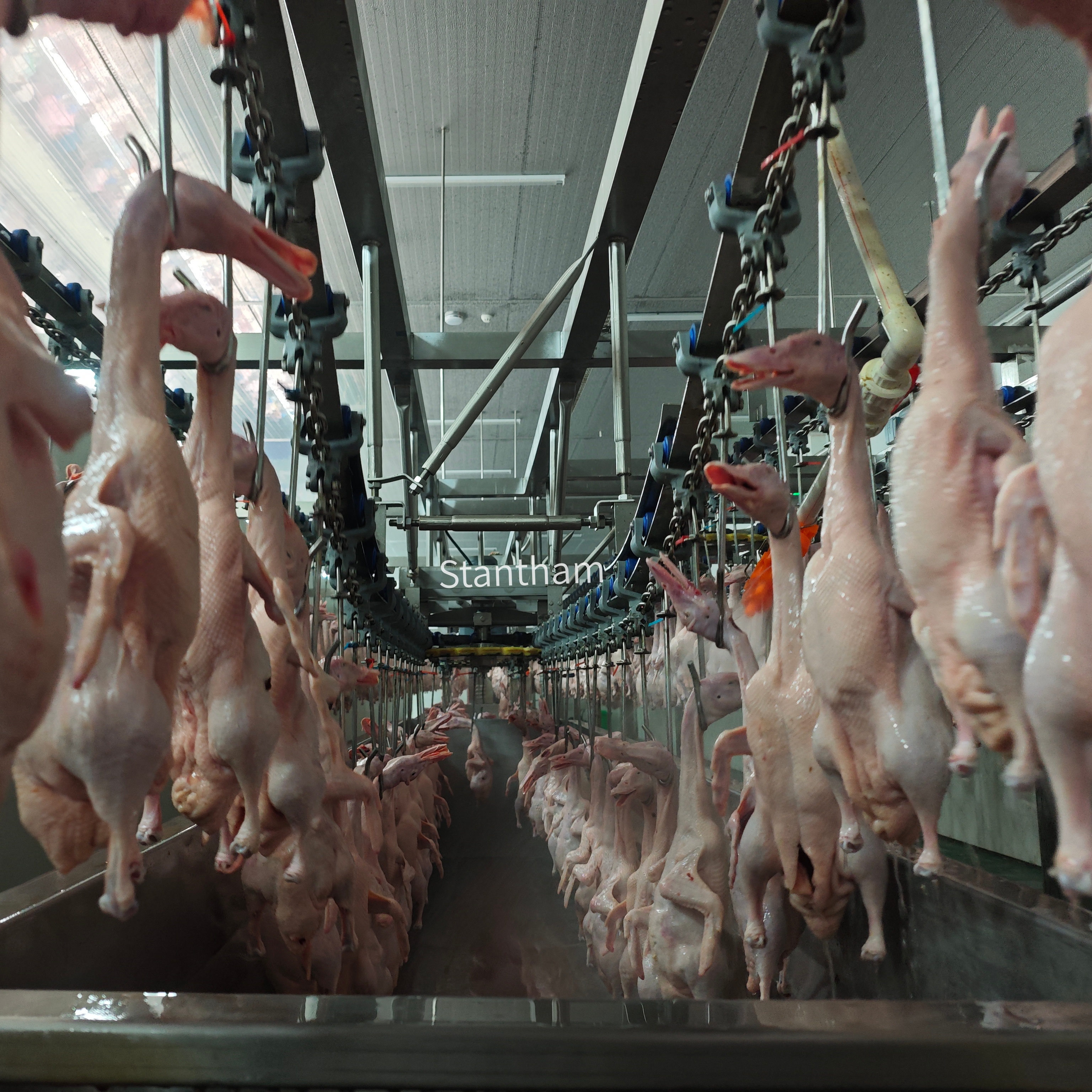 Pre-Shipment Testing of Every Complete Processing Line