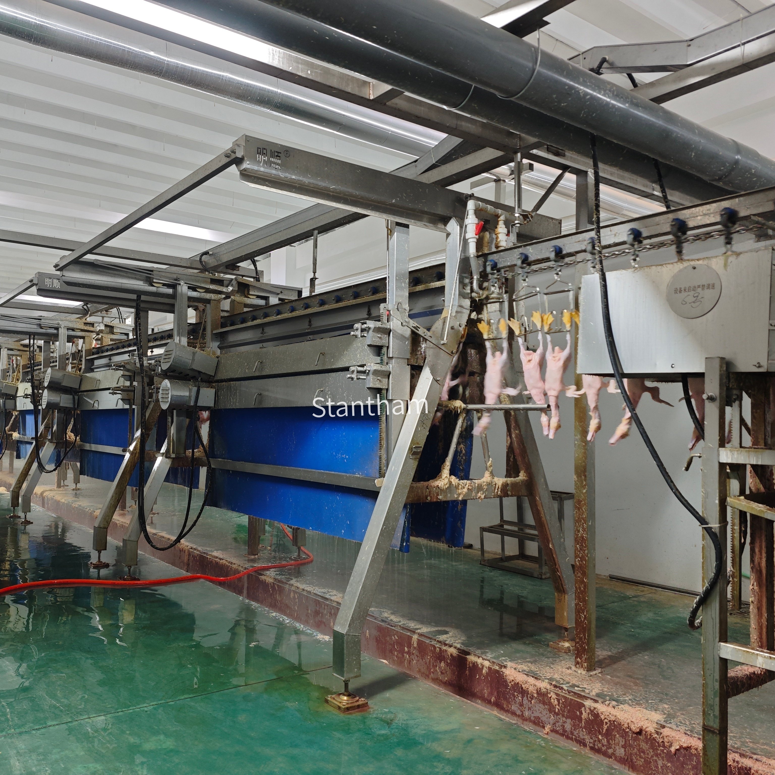 1000-4000 BPH Halal Poultry Slaughter Line Automatic Chicken Duck Goose Processing Slaughter Equipment