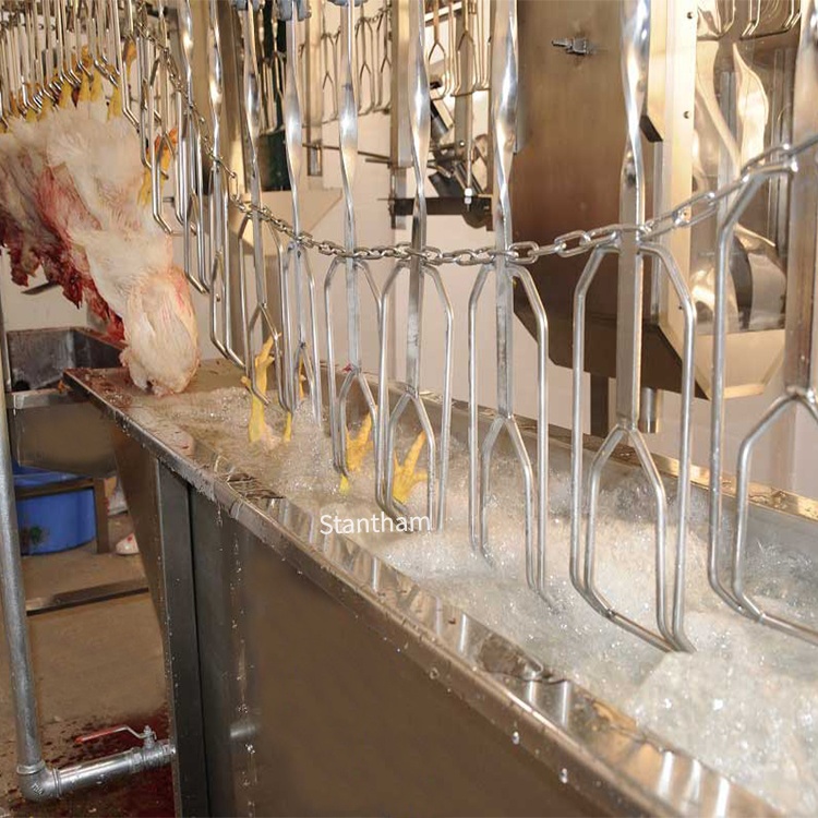 Counterflow Scalding with Precise Digital Temperature Control