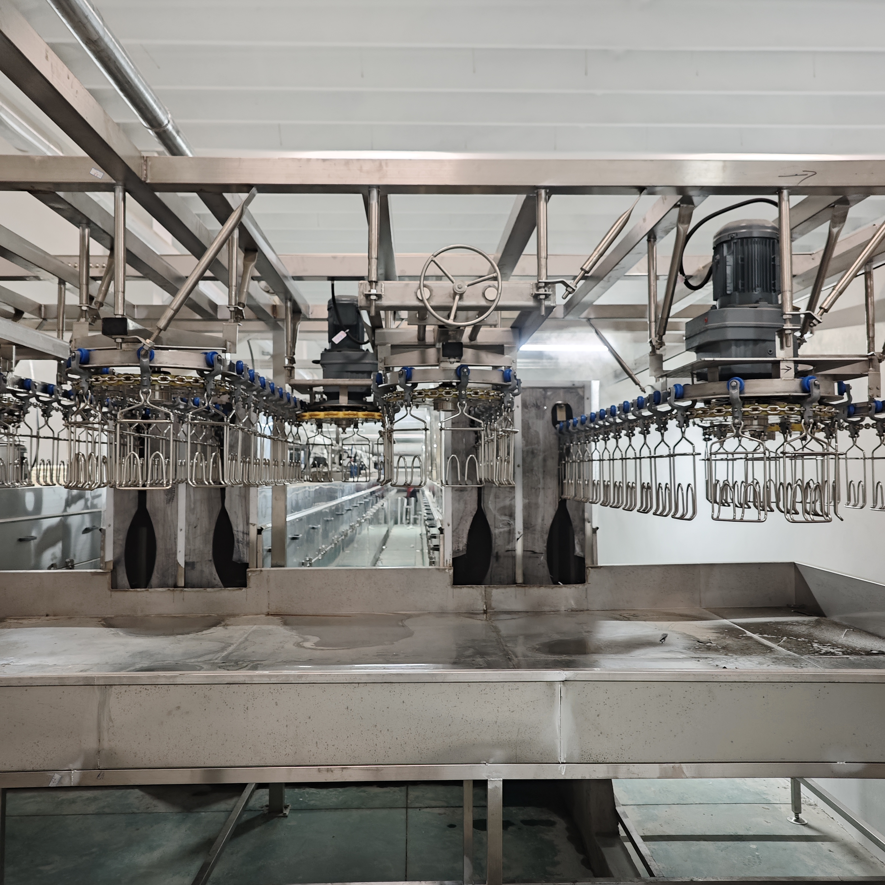 Flexible Modular Slaughterhouse Equipment for Scalable Processing Operations