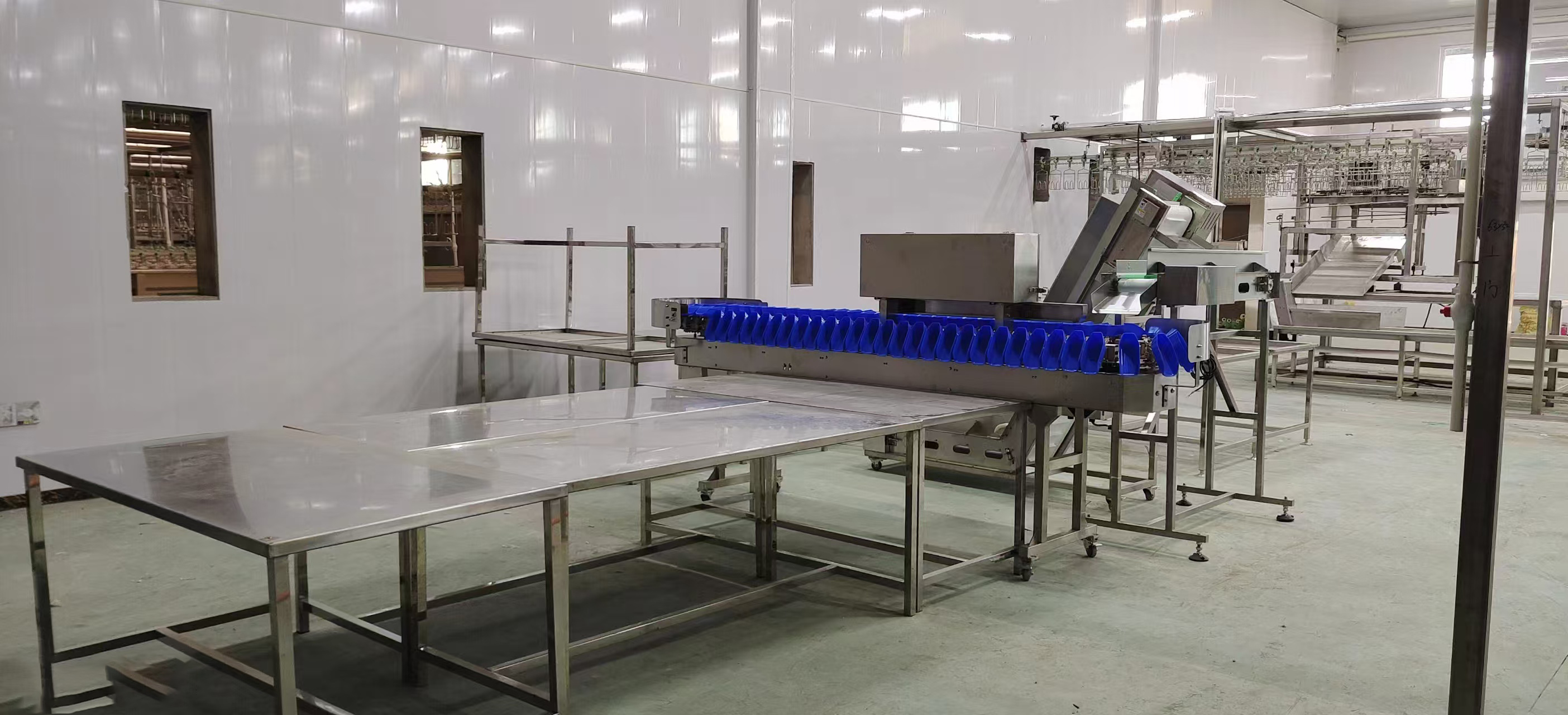7 000 BPH Aangepaste Eendeslaglyn: Hoëdoeltreffende Pluimveeprosesseringoplossing