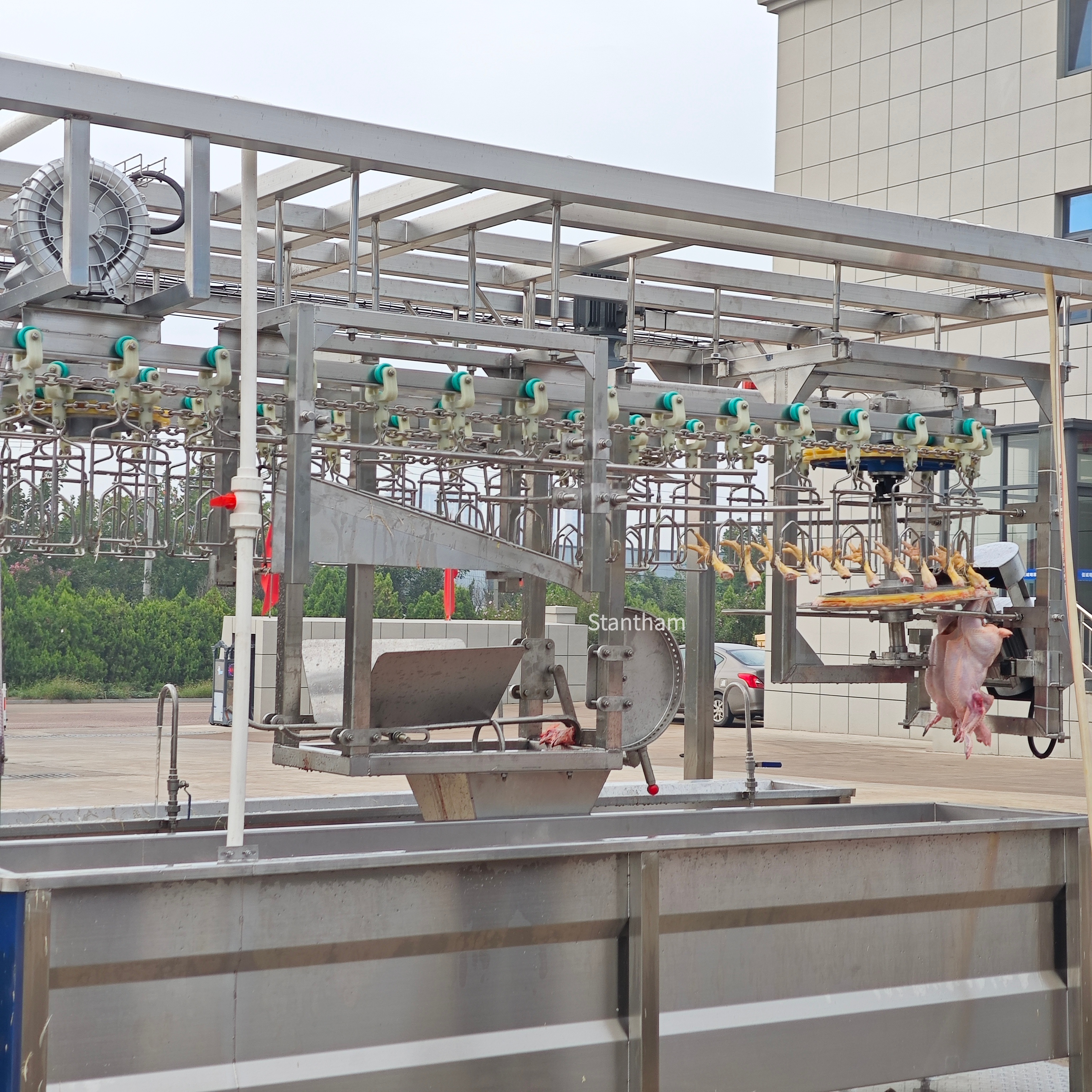 Why This Slaughtering Machine For Chicken Fits Your Plant