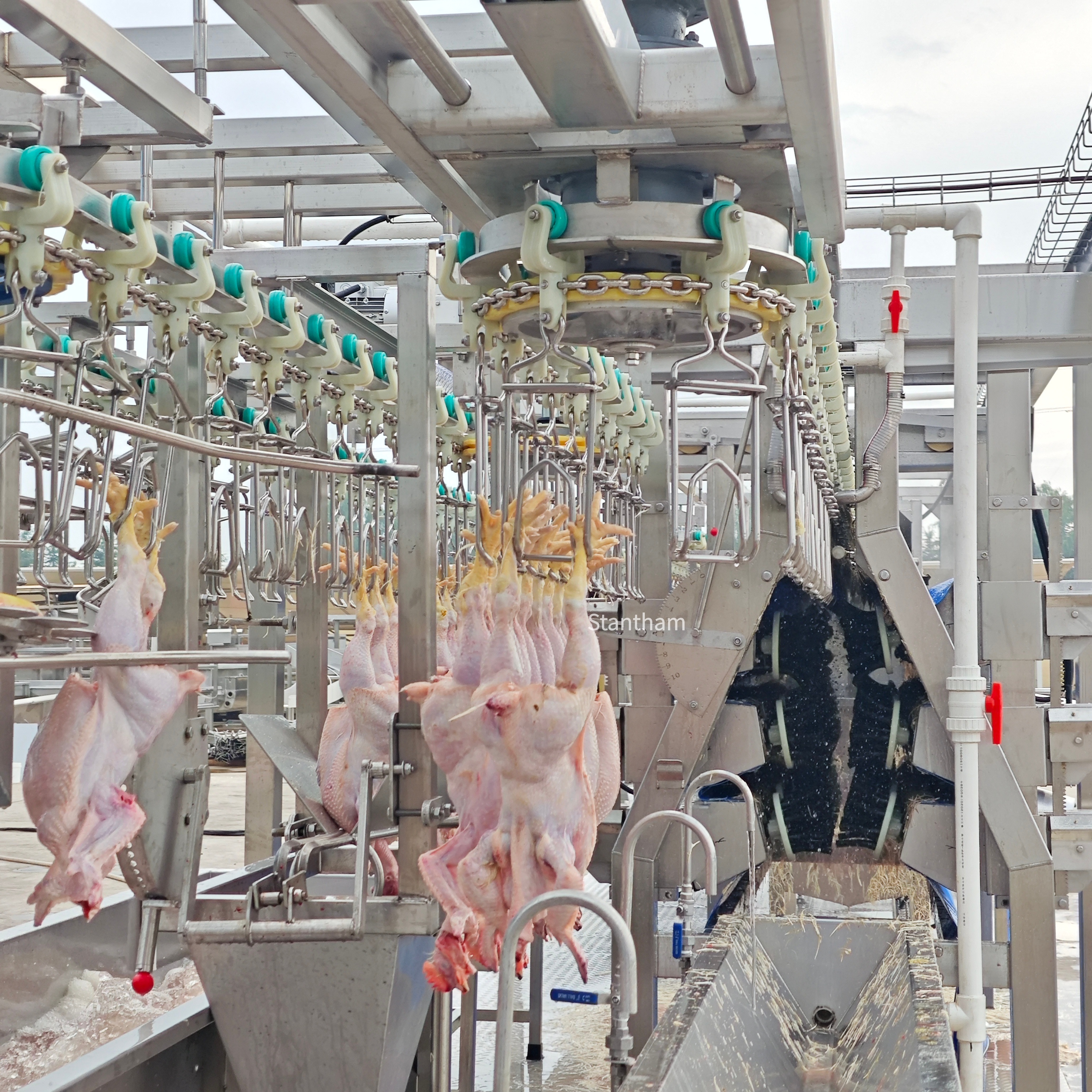Rapid Multi-Species Changeover and Deployment