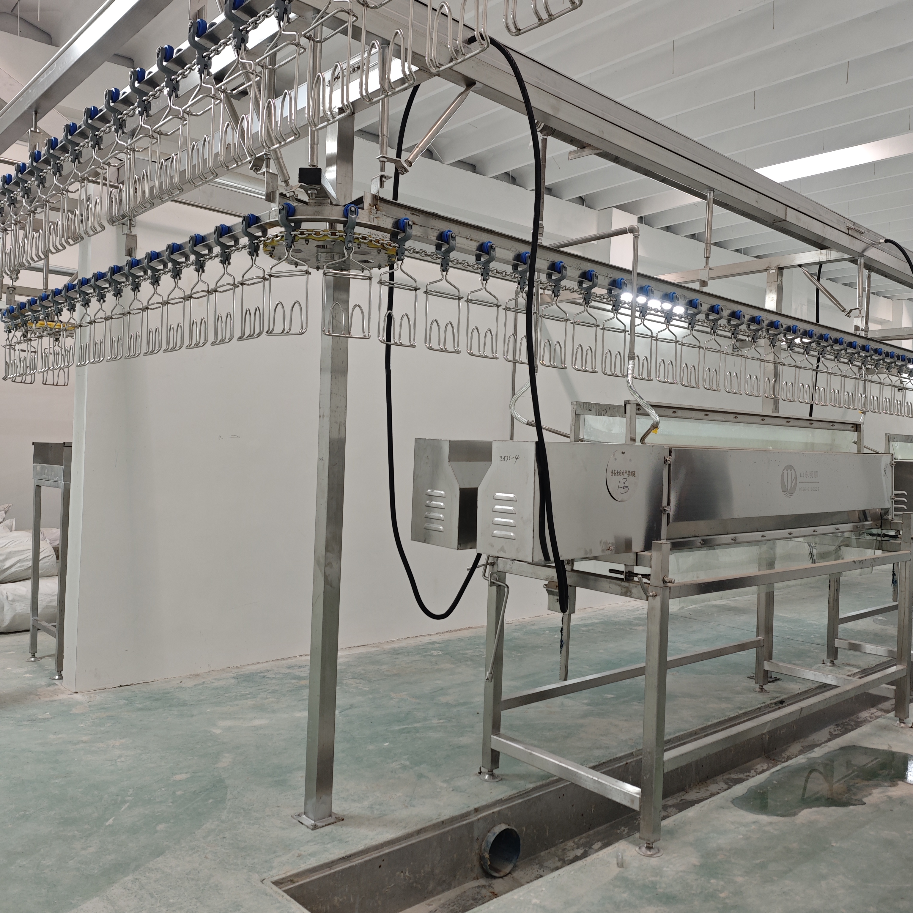 Modern Chicken Slaughterhouse for High-Volume Processing