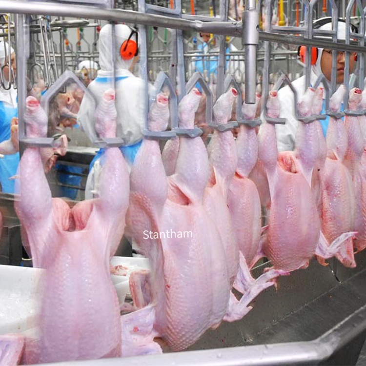 Why Stainless Steel Defines Our Abattoir Equipmentstainless steel poultry abattoir equipment