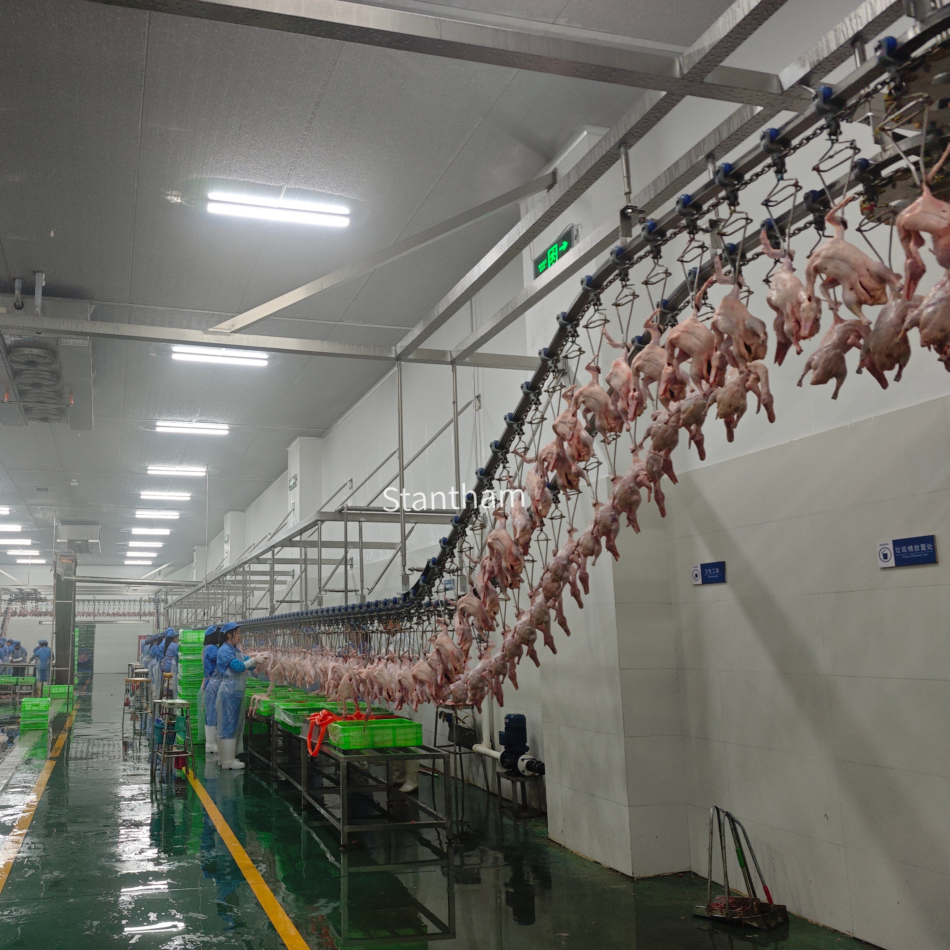 Integrated Poultry Processing Equipment Line Engineered For Consistent Throughput And Hygiene