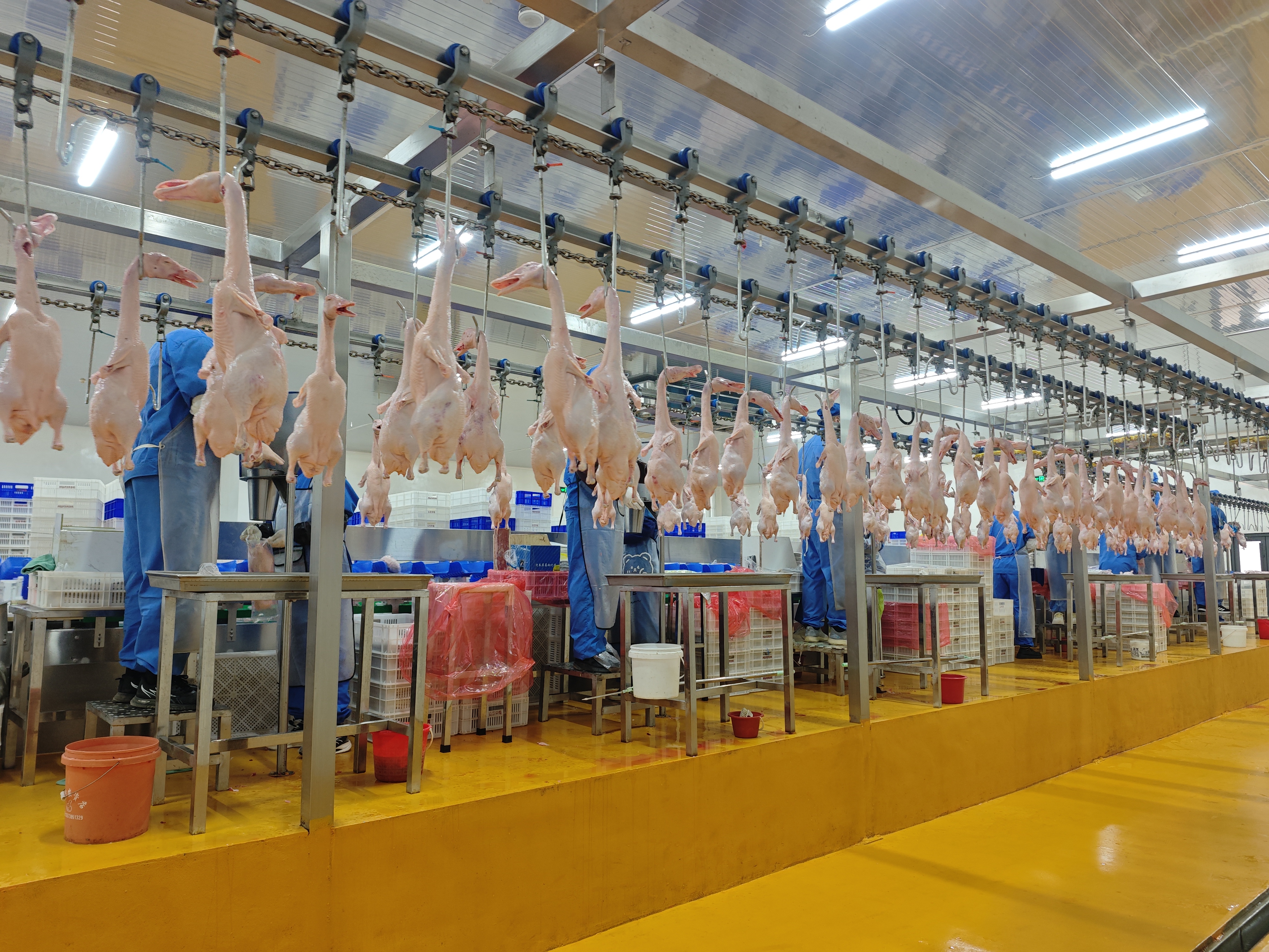 Sanitary Open-Frame Architecture for Uncompromised Cleanability