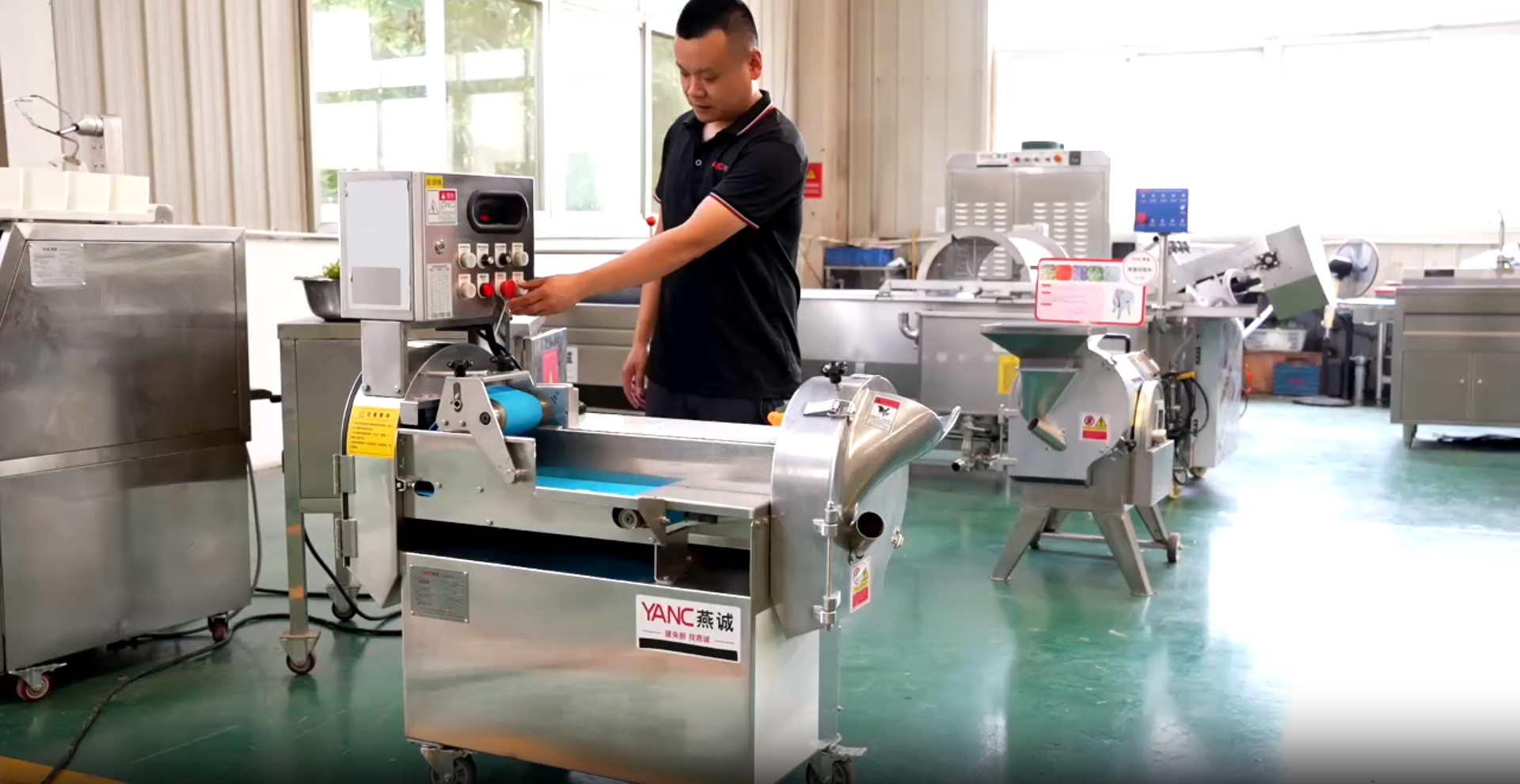 Multifunctional vegetable cutter
