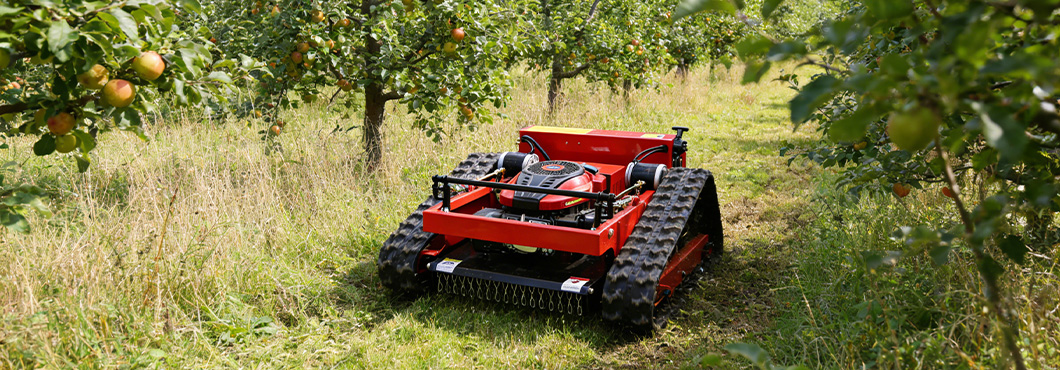 Orchards