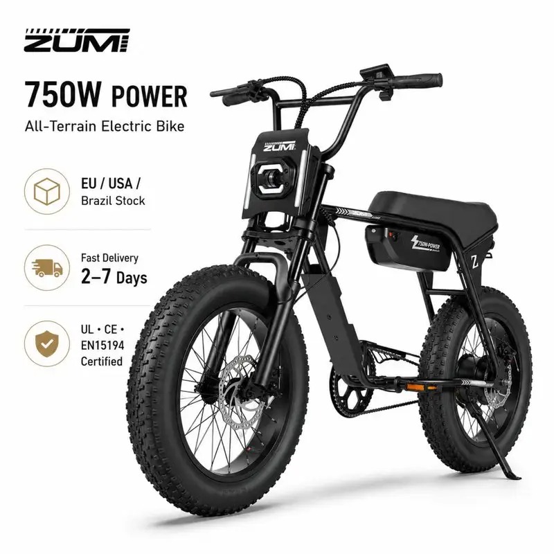 How to Adjust Air Forks on a 48v Electric Mountain Bike