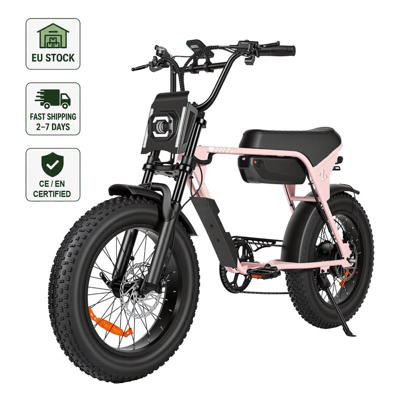 ZUMIBIKE ZUMI-SP06 250W 48V Fat Tire Electric Bike — EU Stock, CE/EN15194