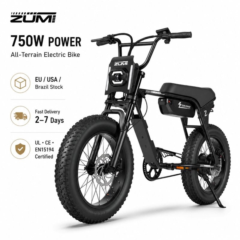 ZUMIBIKE ZUMI-RT05 750W Retro Electric Bike with Removable Battery, US Stock