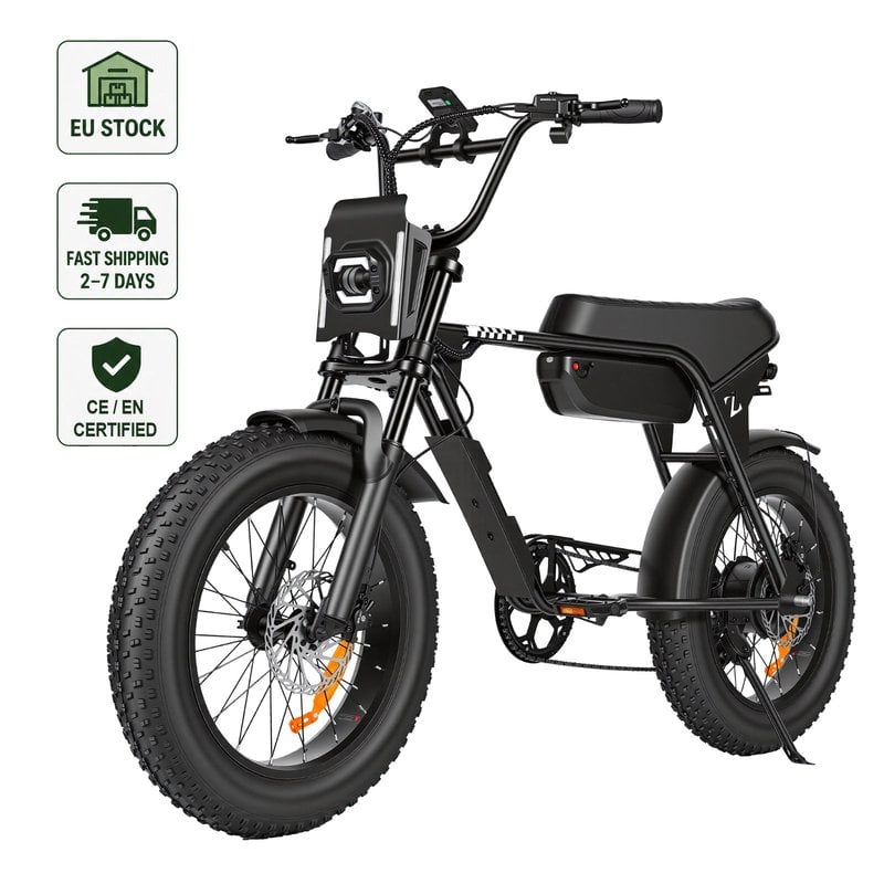 ZUMIBIKE ZUMI-SP06 250W 48V Fat Tire Electric Bike — EU Stock, CE/EN15194