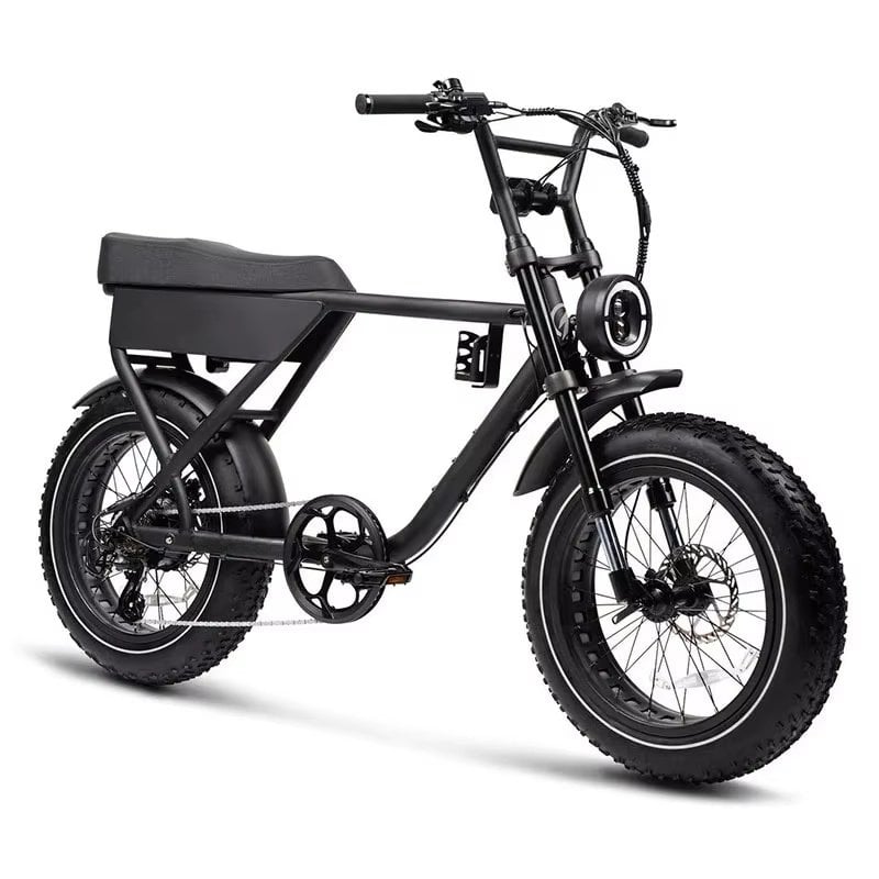 ZUMI HP01 750W Fat Tire Electric Bike, 48V 15Ah Battery & Hydraulic Disc Brakes