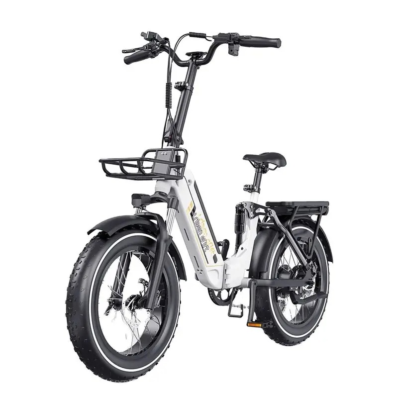 Solving Communication Delays With a Chinese Electric Bikes Supplier
