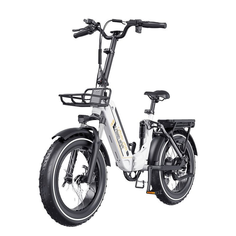ZUMI HP02 750W Fat Tire Electric Bike with Kenda Tires 48V 15Ah