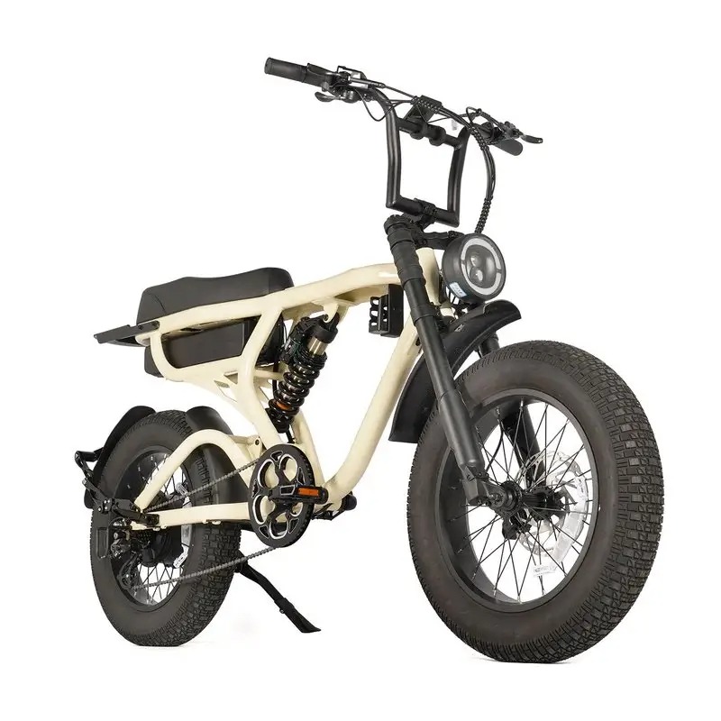 OEM vs ODM Services Offered by an Electric Bike Manufacturer