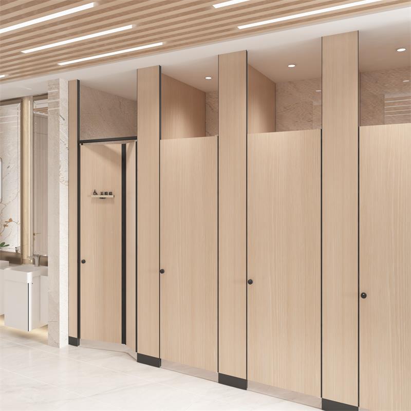 BIG 5 Global 2024 toilet cubicle.jpg