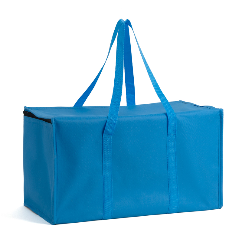 Large Insulated Picnic Cooler Tote Bag