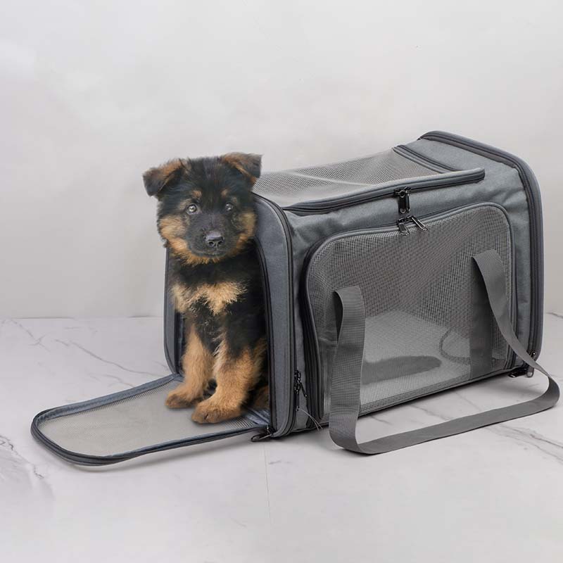 Soft-Sided Pet Carrier Bag with Mesh Panels