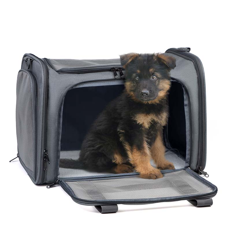 Soft-Sided Pet Carrier Bag with Mesh Panels