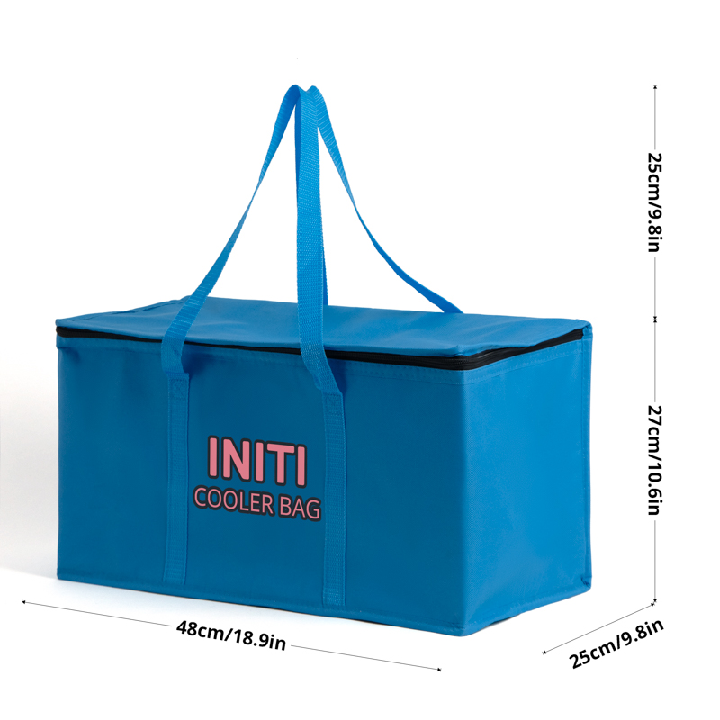 Large Insulated Picnic Cooler Tote Bag