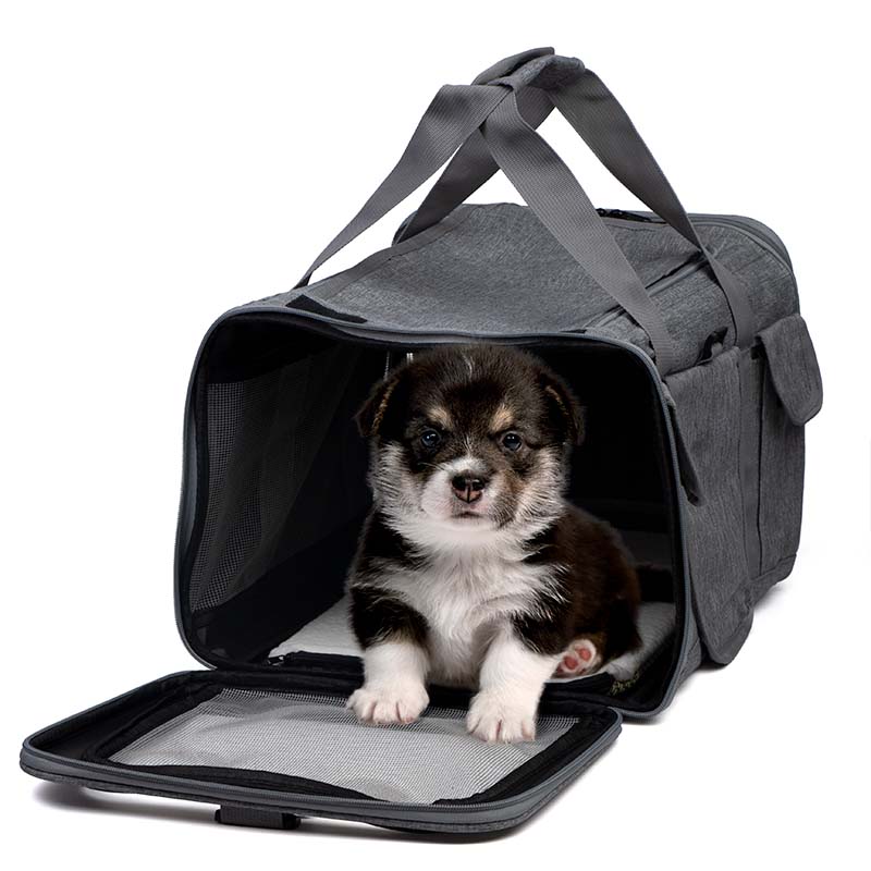 Custom Soft-Sided Pet Carrier Bag with Mesh Windows