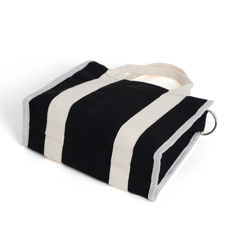 Mini Canvas Crossbody Tote Bag with Zipper