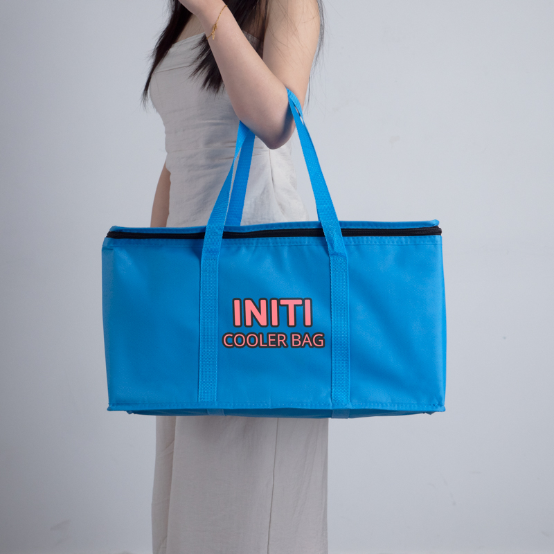Large Insulated Picnic Cooler Tote Bag