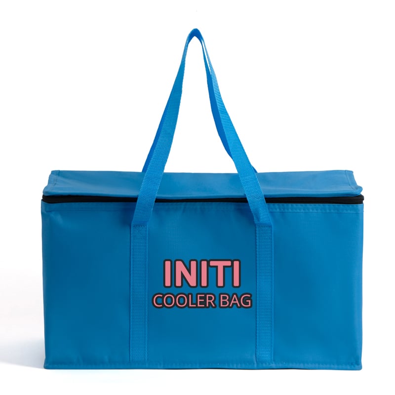 Large Insulated Picnic Cooler Tote Bag