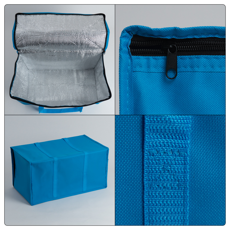 Large Insulated Picnic Cooler Tote Bag