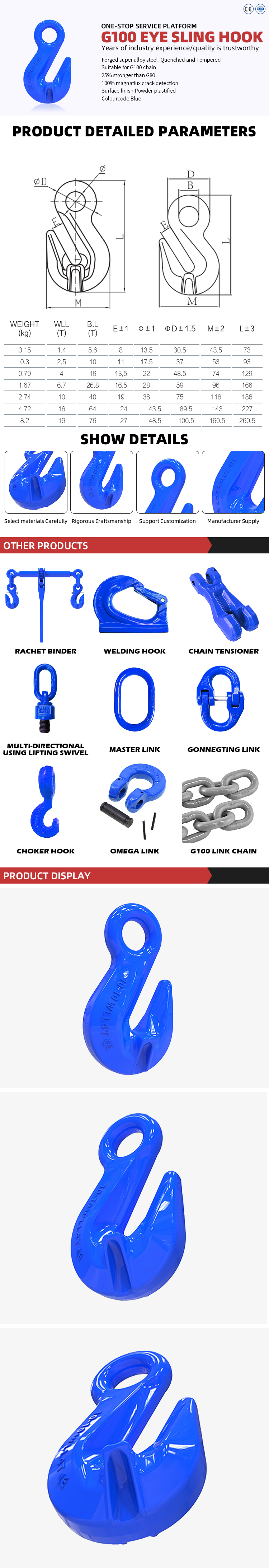 g100 eye sling hook-1
