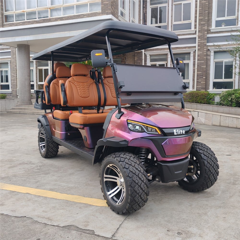 mobil Golf 6 Kursi dengan Panel Surya LS2043ASZ