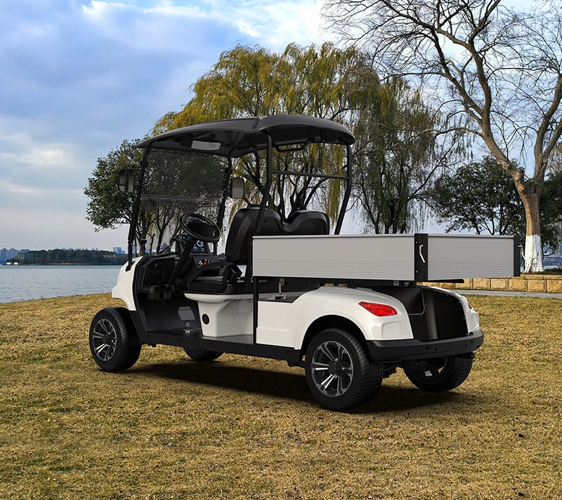 So wählen Sie das richtige 8-Sitzer-Golfcart für Ihre Bedürfnisse aus