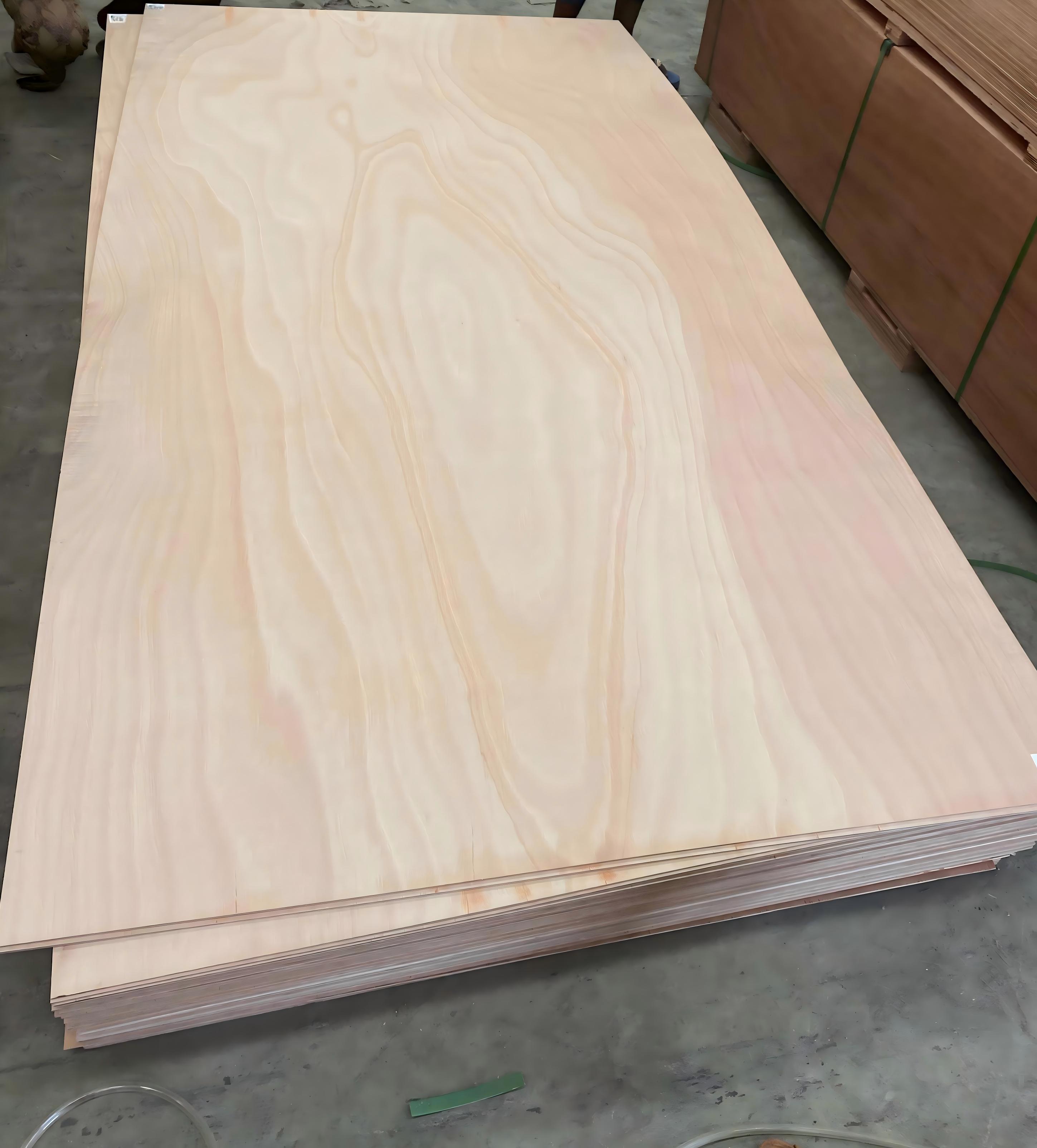 OGM3(535a5c052c).jpg