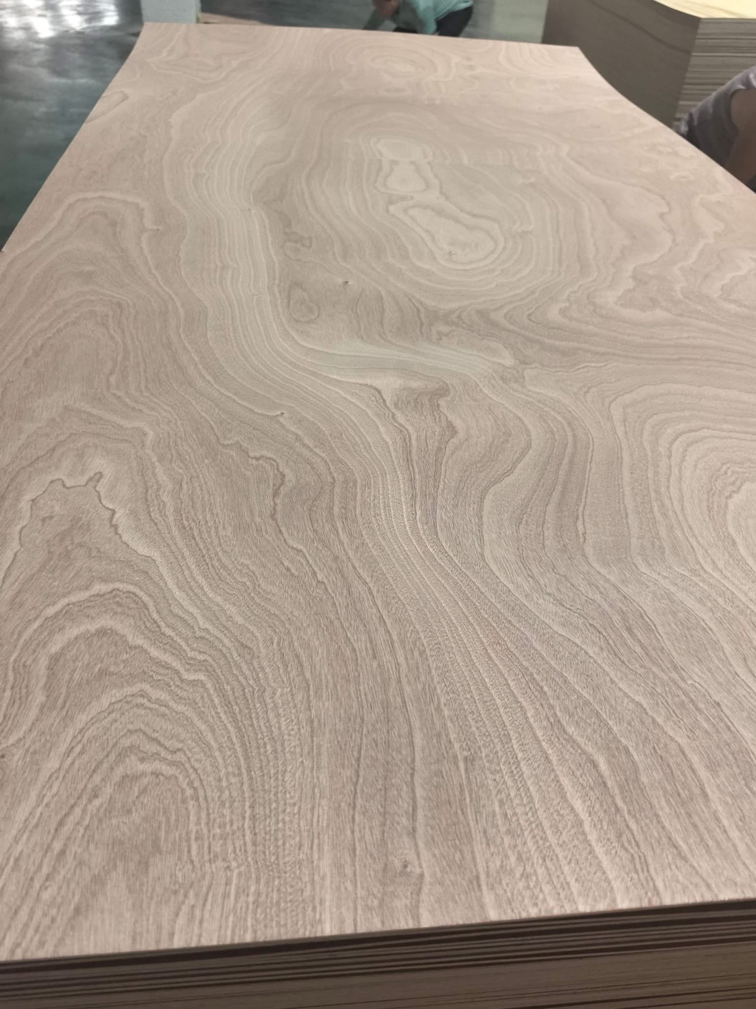 sapelle face plywood.jpg