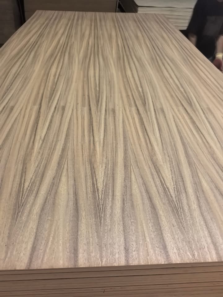 Parota face plywood