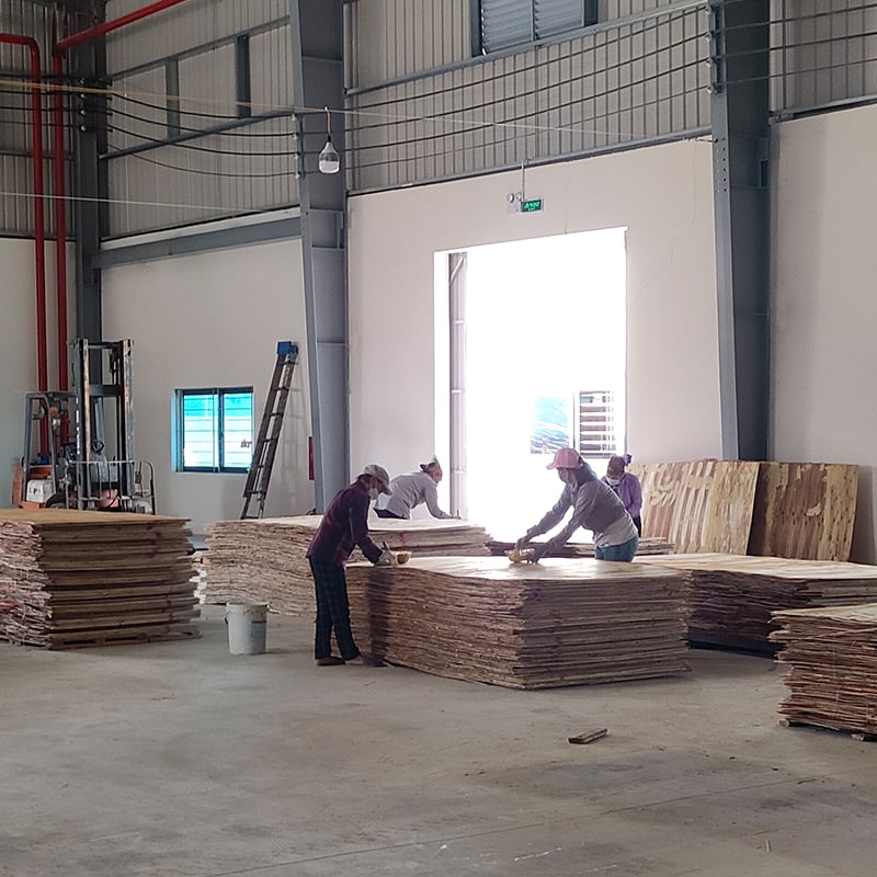 About New Creat Plywood Co., Ltd. | Premium Plywood Manufacturer