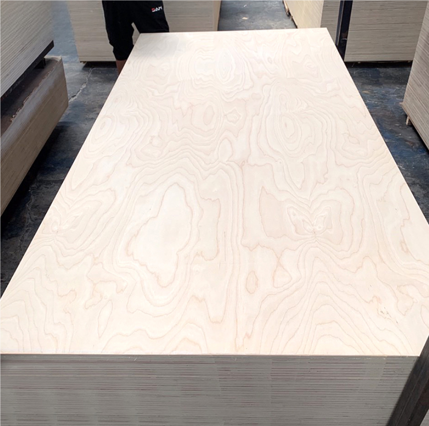 Birch Plywood