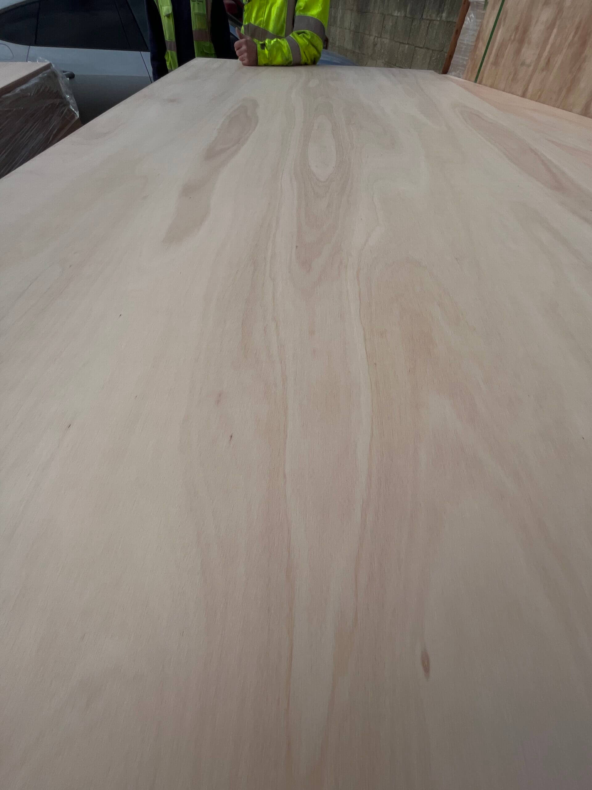 Eucalyptus Face Plywood