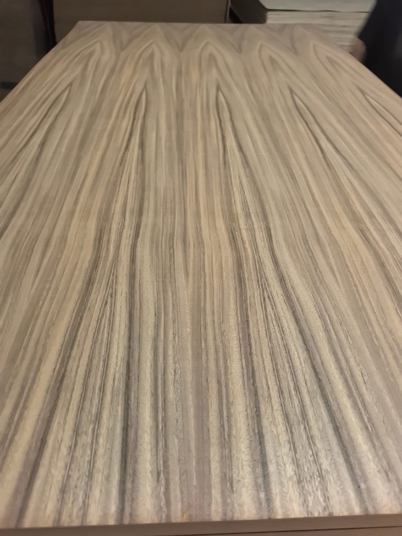 parota face plywood (3).jpg