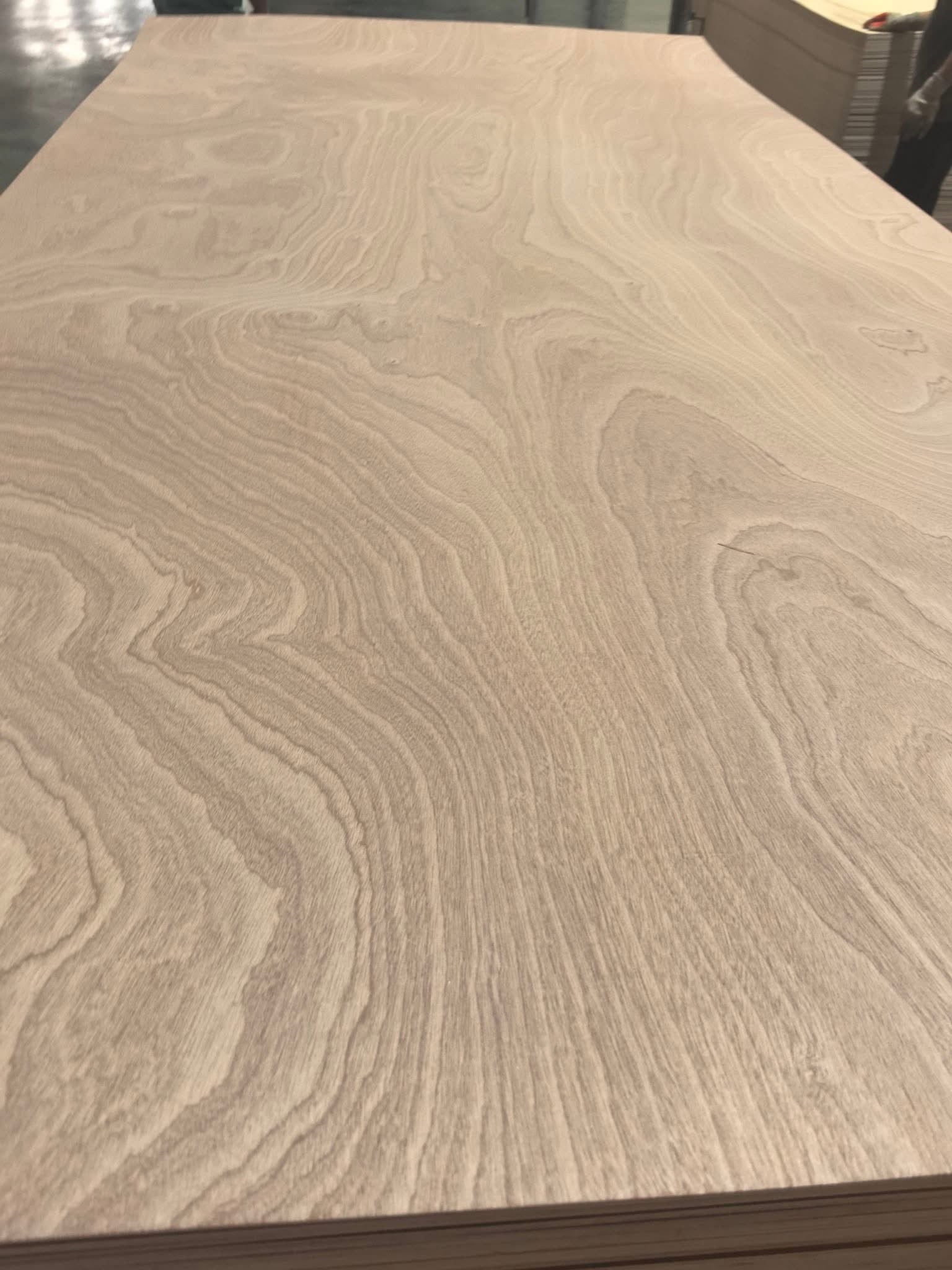 Sapelle Face Plywood