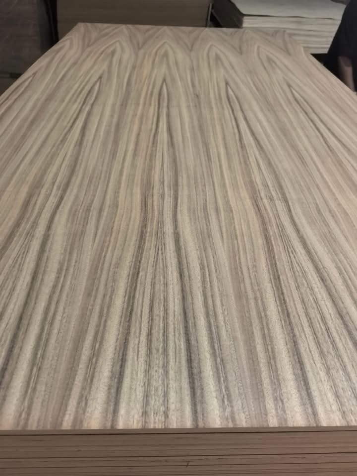 parota face plywood (2).jpg