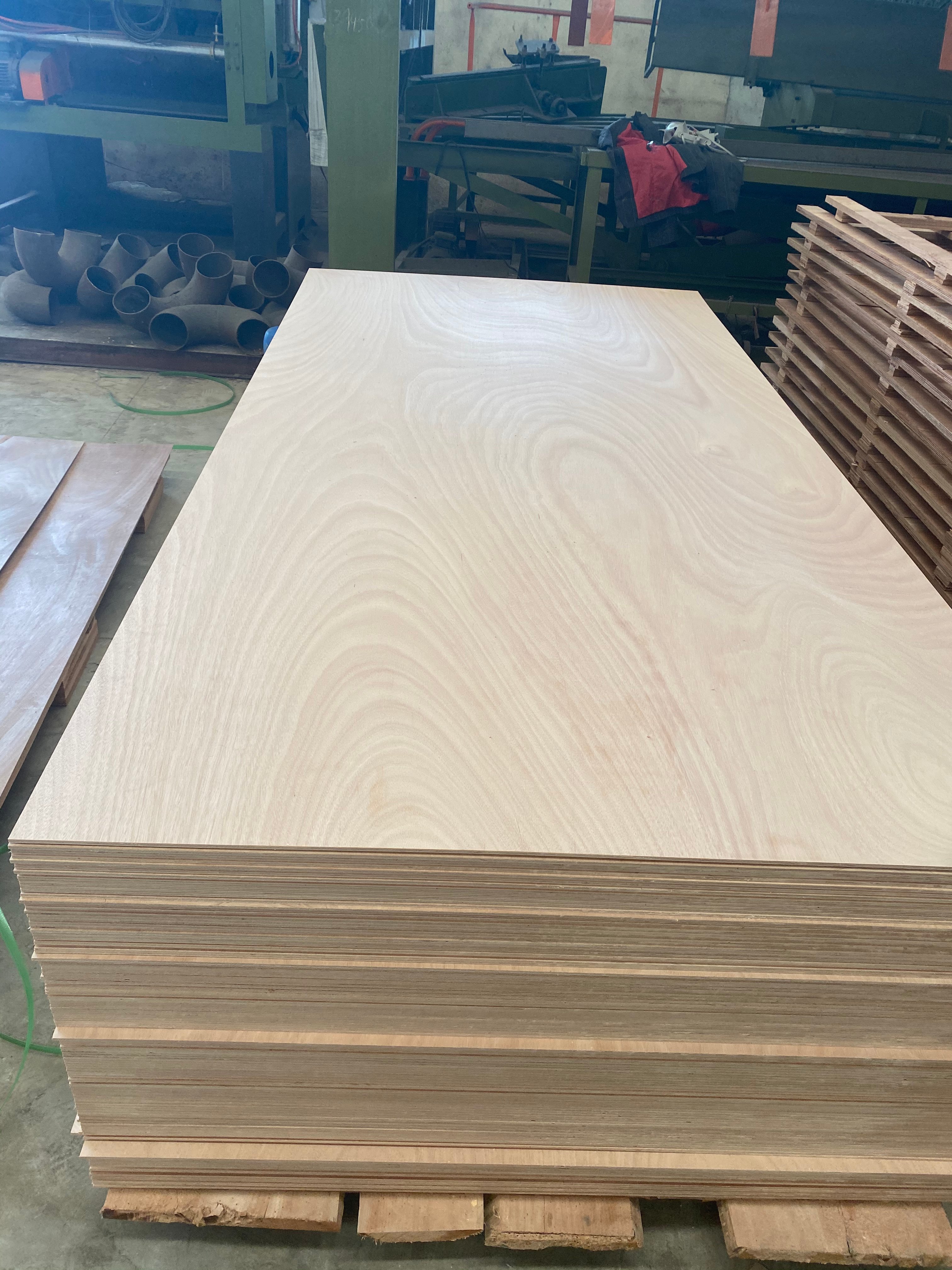 Okoume Face Plywood