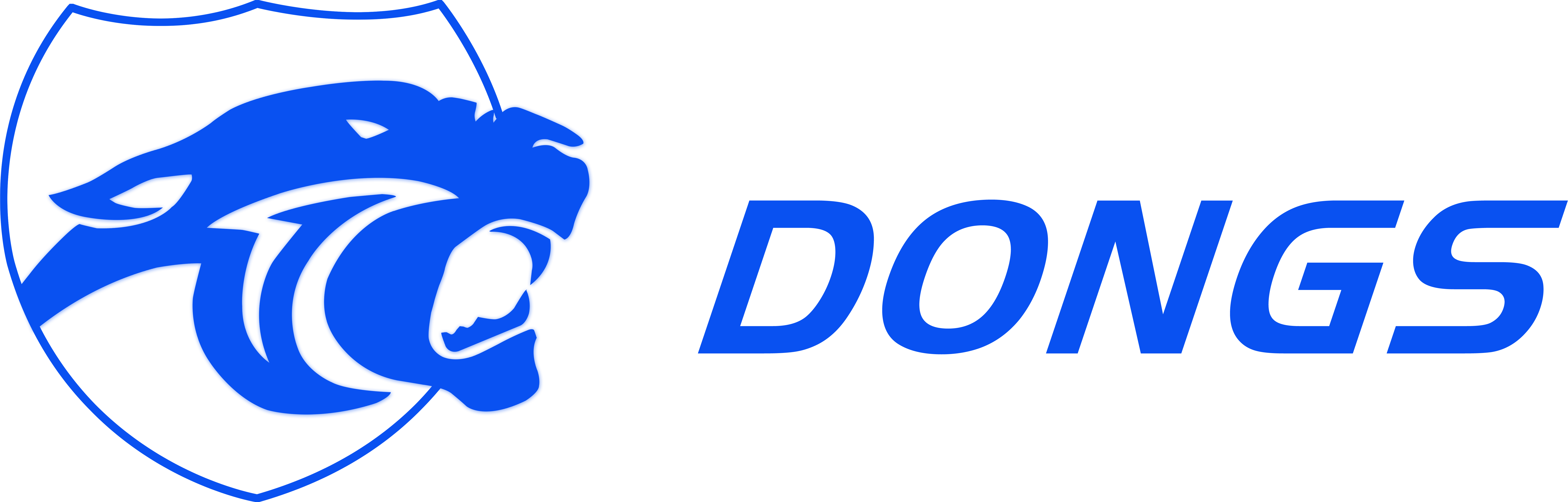 SHANDONG THE DONGS CNC EQUIPMENT CO.,LTD