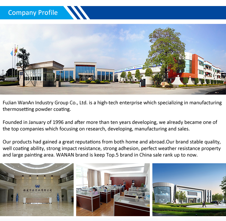 Company overview