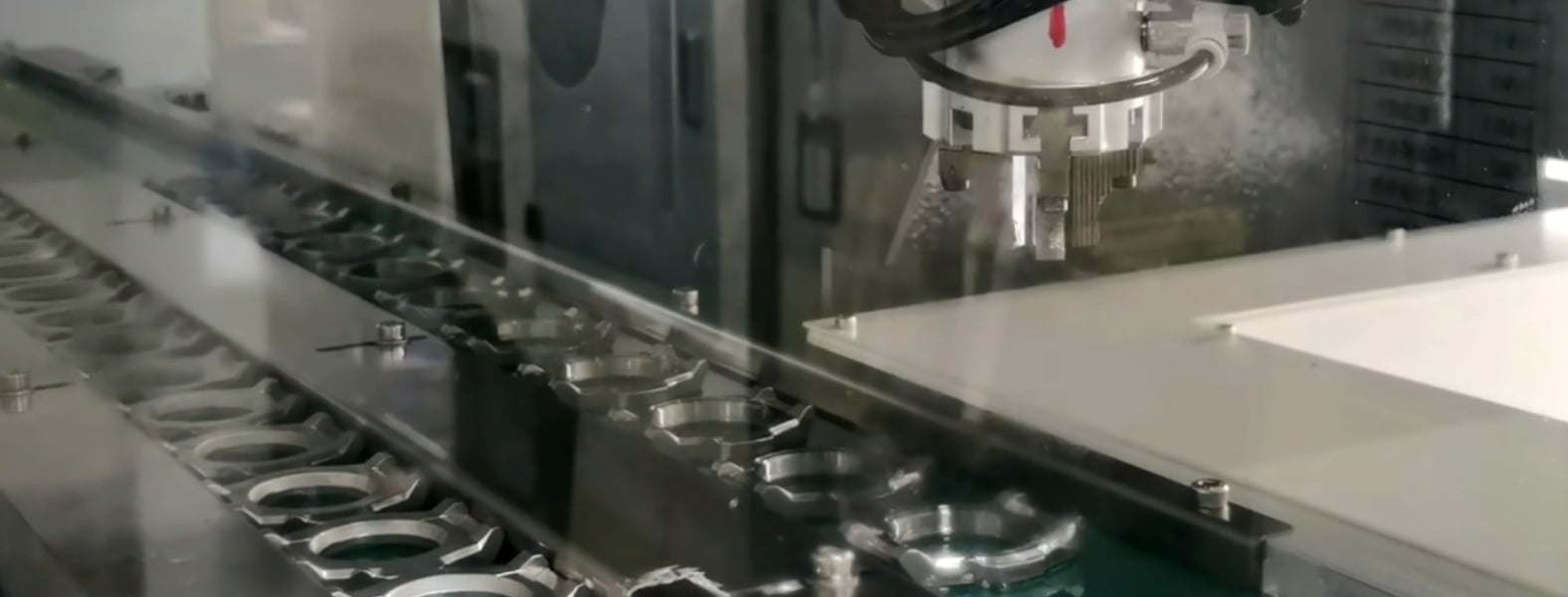 Premium Watch Case Inspection and Testing