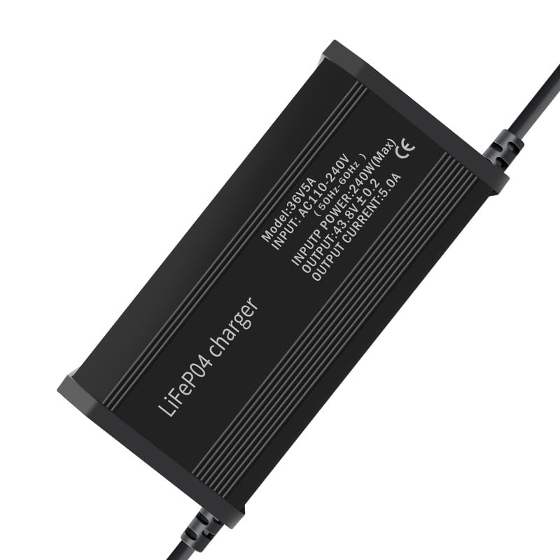 Which LiFePO4 Battery Charger Fits Your System Needs?