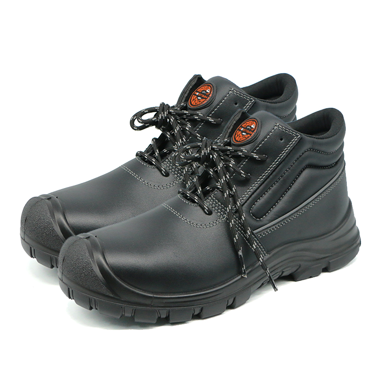 EG308-PP -1.jpg