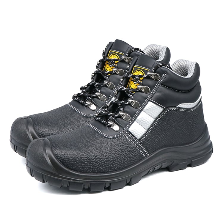 EG519-PP -1.jpg